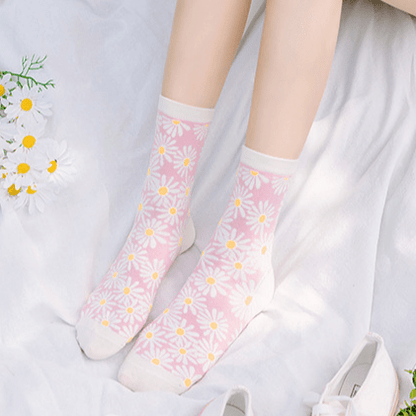 Witty Socks Socks Witty Socks Daisy Dreams Delight Collection