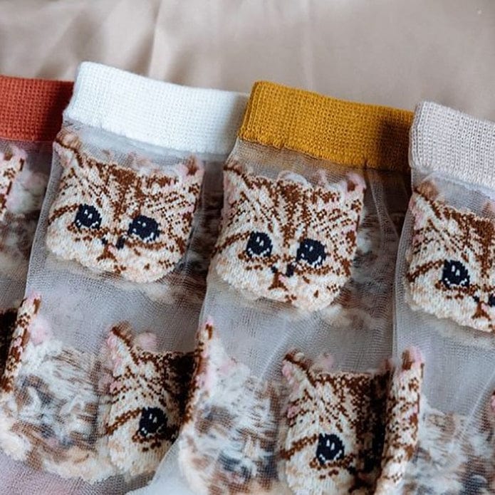 Witty Socks Witty Socks Kitty Cat Collection